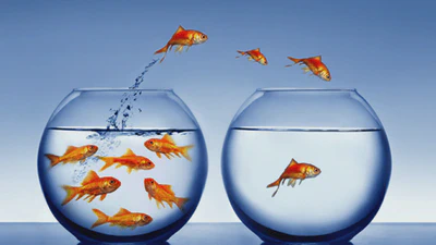 Customer Attrition Analysis featured image